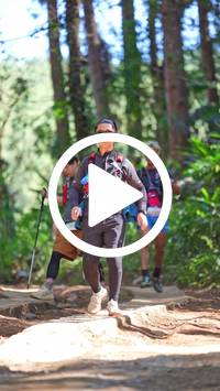 BIB:  <button type="button" onclick="openModal(26787539)" class="btn btn-primary btn-sm float-right" data-toggle="modal" data-target=".modal-high-quality">
                <i class="fa fa-download"></i> Download
                </button>